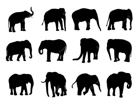Premium Vector Elephant Silhouette Collection