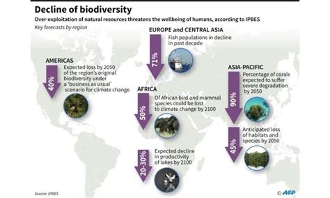 Land Decay To Displace Tens Of Millions Global Survey Warns