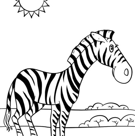 Kolorowanki Zebra do druku dla dzieci i dorosłych
