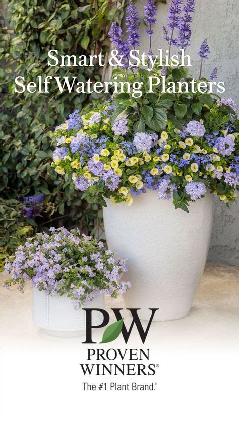 140 Proven Winners Recipes Ideas In 2021 Container Gardening