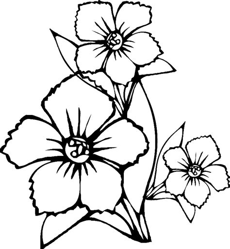 Large flowers coloring pages to download and print for free