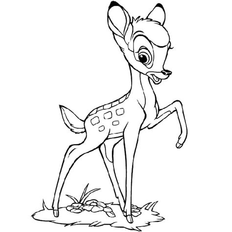 Desenho De Bambi Pulando Rio Para Colorir Tudodesenhos Porn Sex Picture