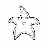 Starfish Coloring Sea Shell Huge sketch template