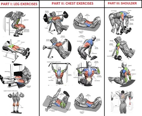 10 Sets Of 10 Reps Workout Program For Quick Muscle Building Bodydulding