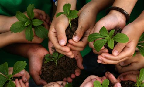 La Educación Ambiental En La Argentina Instituto Jane Goodall Argentina