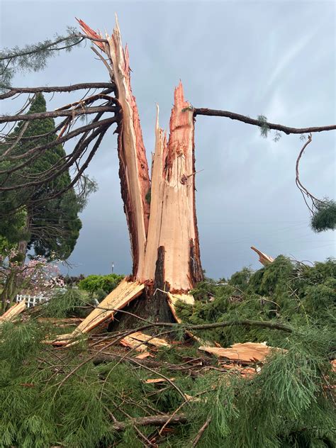 Deputies Tree Exploded After Lightning Strike In Clackco