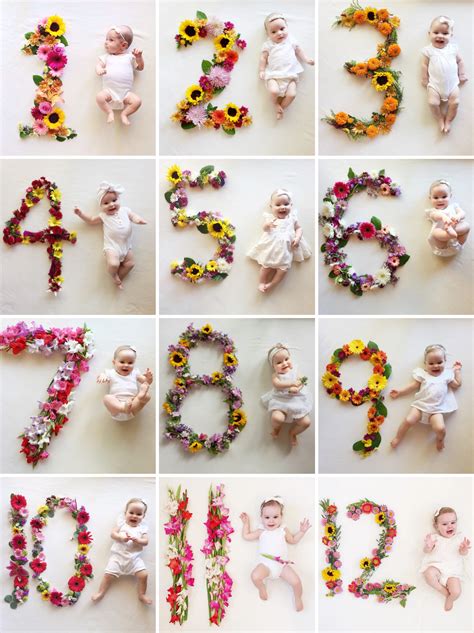 Monthly Baby Photos With Flowers Infant Baby Milestone Photography