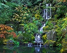 Take a Virtual Tour Through This Famous Japanese Garden in Oregon