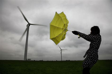 Best Umbrellas For Gale Force Winds