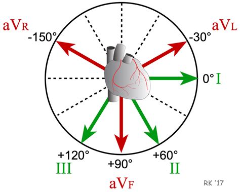 Cv Physiology Electrocardiogram Augmented Limb Leads Unipolar Abc