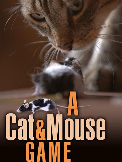 A Cat And Mouse Game 2019 Imdb
