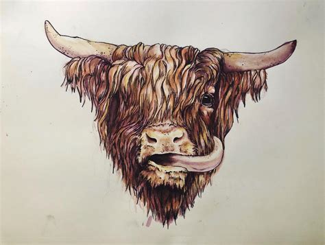 This Highland Cow My Girlfriend Made Today Drawing