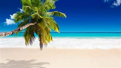 Tropical Beach Paradise Wallpapers Sunshine Palm Sea