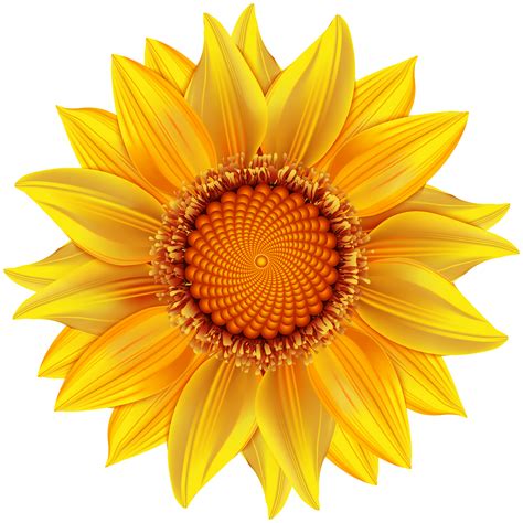 Clipart Yellow Flowers 20 Free Cliparts Download Images On Clipground