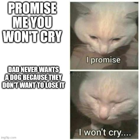 I Promise I Wont Cry Imgflip