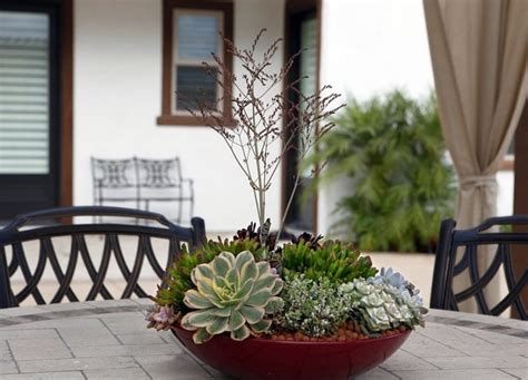 how to make a succulent dish garden step by step tutorial balcony garden web