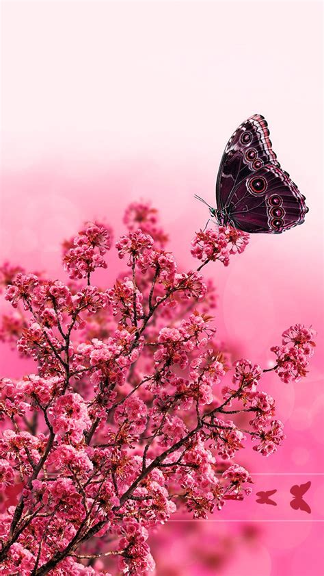 Pink Wallpaper Iphone Lock Screen Girly Butterfly Pic Download Free