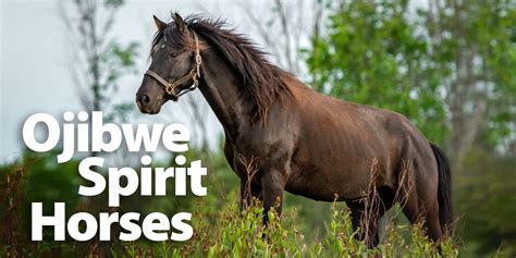 Ojibwe Spirit Horses — Know Indigenous History