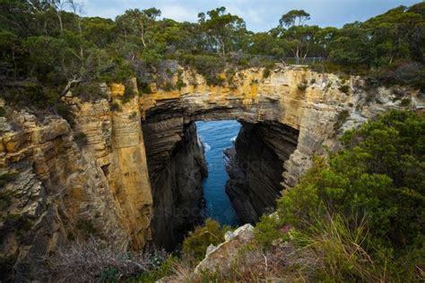 Image Of Tasmans Arch Tasman National Park Tasmania