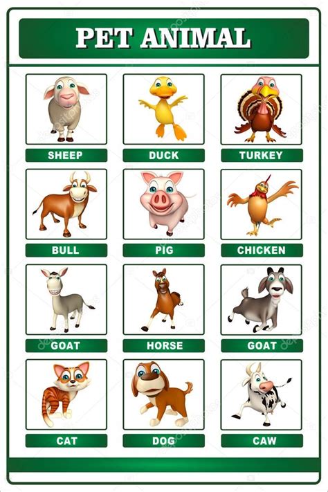 Pet Animal Chart — Stock Photo © Visible3dscience 102405718