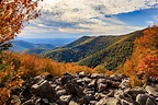 Shenandoah National Park Hikes To Best Experience the Park