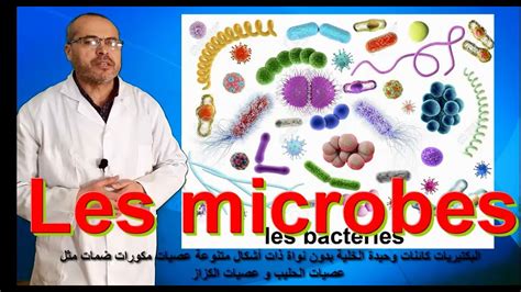 Les Microbes Youtube