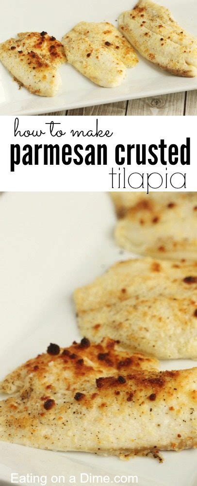 Easy Parmesan Crusted Tilapia Recipe Anyone Can Make