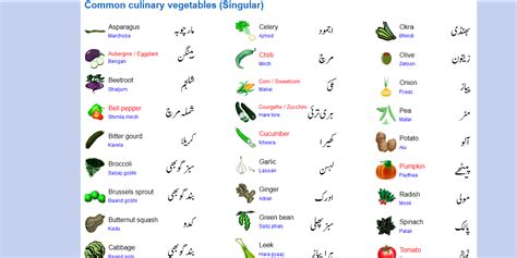 Learn Urdu And English Vegetable Names