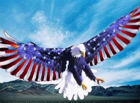 Free Download American Eagle Flags American Eagle American Flag X For Your Desktop