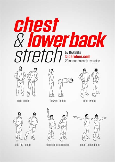 Chest And Lower Back Workout Exercise Lower Back Exercises Back Exercises