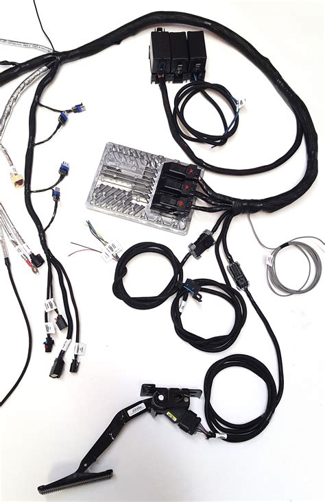 All black wires with a ground symbol are interconnected within the efi system harness. Lt1 Engine Swap Wiring Harnes - Wiring Diagram