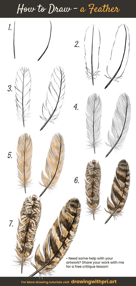 Step By Step Method To Draw A Feather For Beginners Feather Sketch