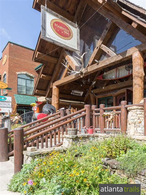 Blue Ridge, Georgia: where to eat, stay, and find adventure in Georgia