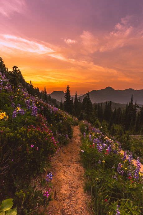 Pathway To Blazing Glory Awesome Nature Photography Pretty