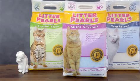 Best Crystal Cat Litter Expert Reviews And Buying Guide