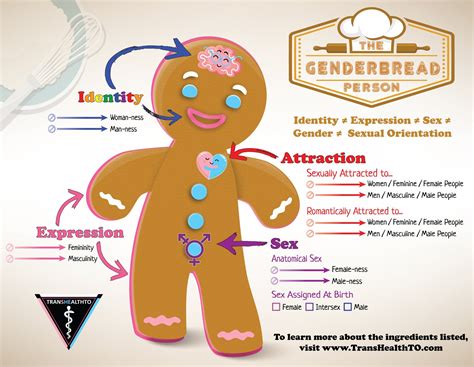 Genderbread Person Diagram Hot Sex Picture