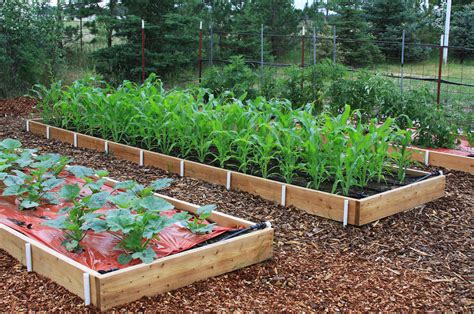 In The Garden Raised Beds Offer Bountiful Benefits The