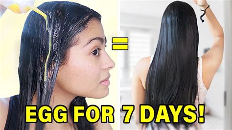 i used 1 egg on my hair every day for 7 days and this happened this works youtube