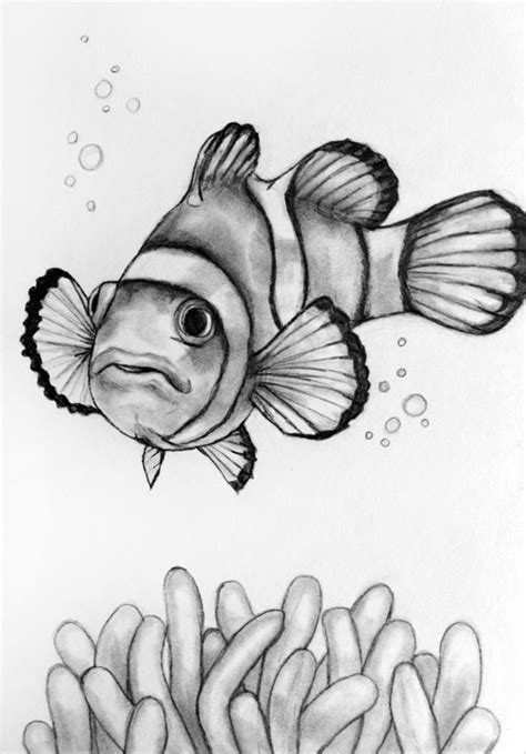 Realistic Pencil Realistic Fish Drawing Easy Pic Connect