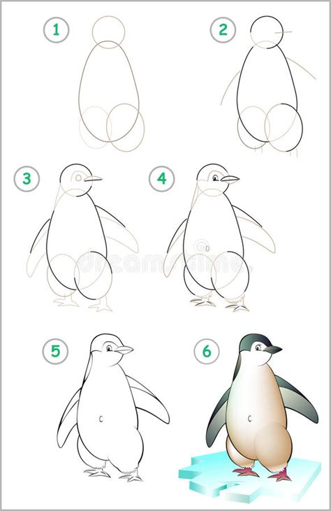 How To Draw A Cartoon Baby Penguin Step By Step