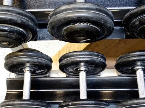 Dumbbells Weights Fitness Weight Free Photo On Pixabay Pixabay