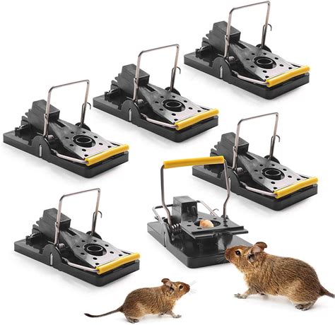 Wellxunk Trap Mousetrap Micemouse Traps6 Pack Mouse Traps For