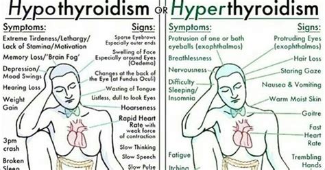 Hyperthyroidism Vs Hypothyroidism How To Detect And Treat Thyroid Disorders The Hearty Soul