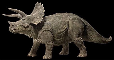 Triceratops Jurassic Park Wiki Fandom Powered By Wikia