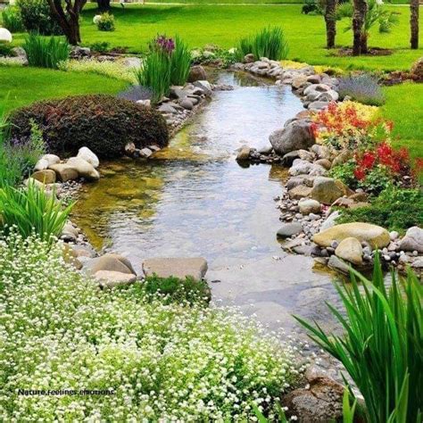 Pin By Tataru On Peisaje Explicate Landscaping With Rocks Asian