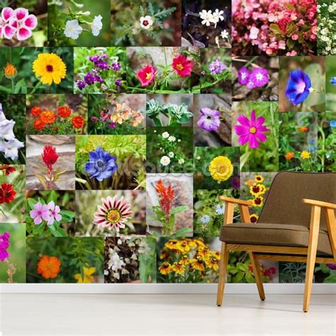 Summer Flower Collage Wallpaper Mural Wallsauce Uk
