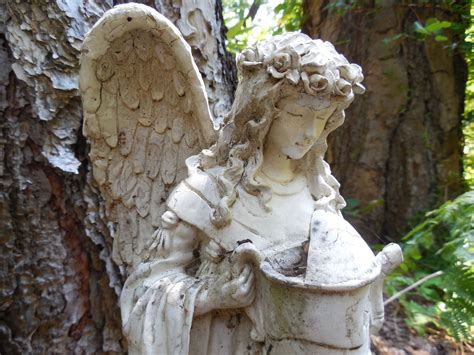 The Garden Angel Protects Our Gardens Garden Angels Garden