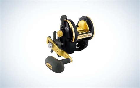 Best Surf Fishing Reels For Outdoor Life