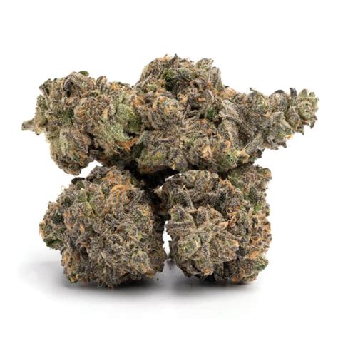 Purple Pineberry Cannabismo Buy Weed Online Canada Dispensary