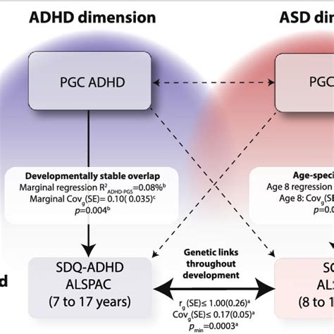 Genetic Relationships Between Asd And Adhd Symptoms In Clinical And